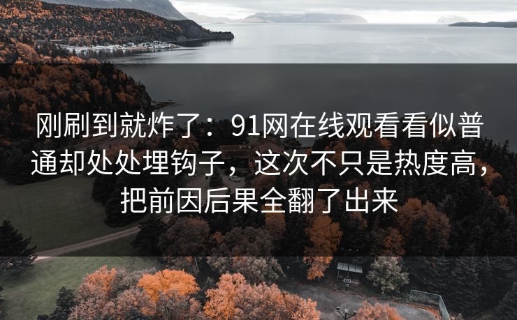 刚刷到就炸了：91网在线观看看似普通却处处埋钩子，这次不只是热度高，把前因后果全翻了出来